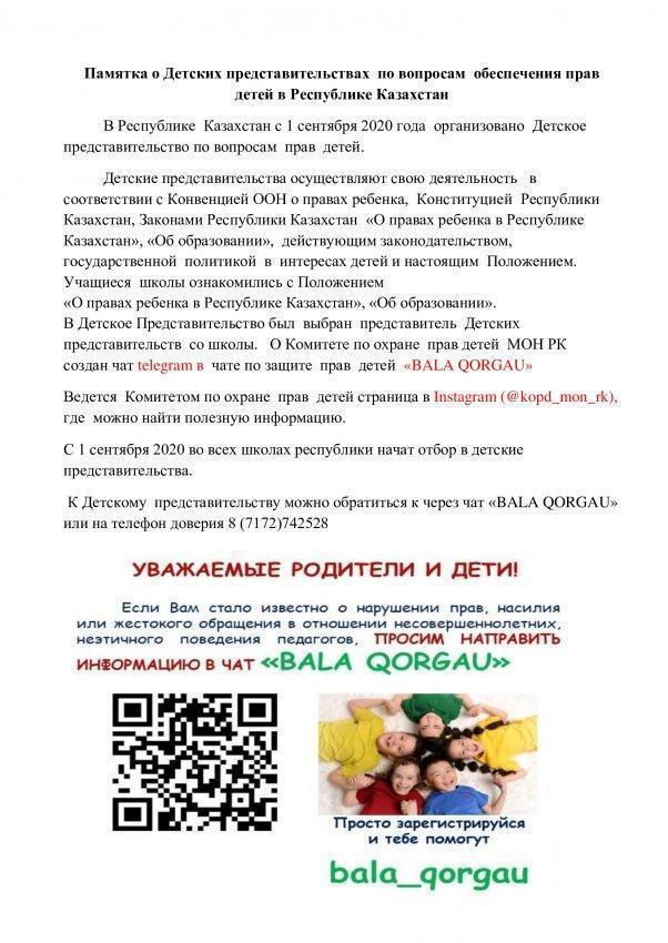Памятка о Детских представительствах